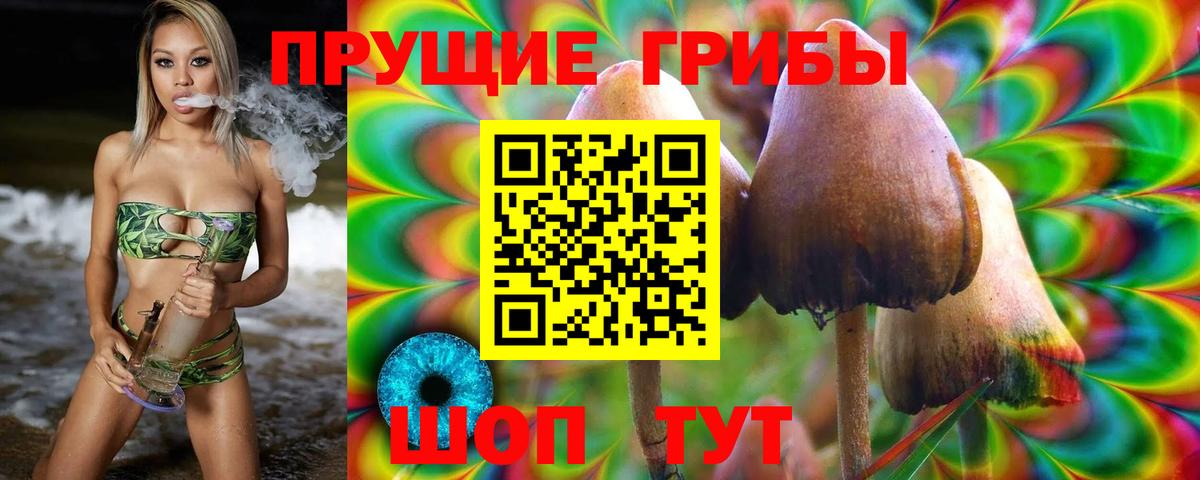 Псилоцибиновые грибы прущие грибы  Вход с VPN  Новошахтинск 